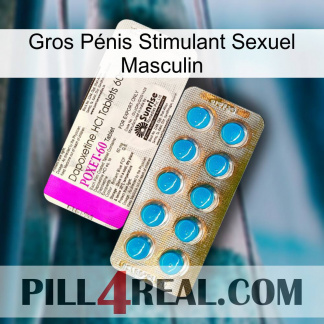 Gros Pénis Stimulant Sexuel Masculin new07
